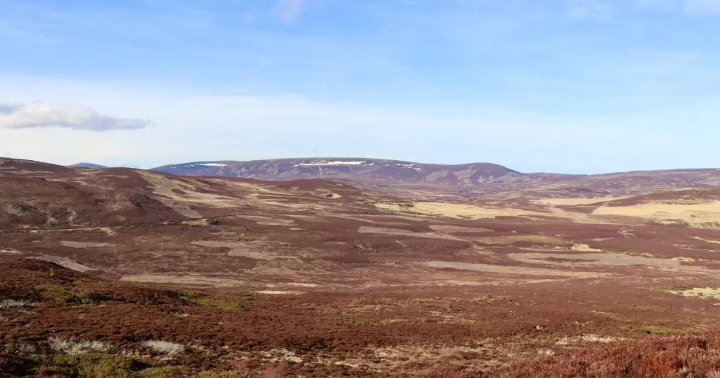 Cairngorms - divoká příroda, co vidět ve Skotsku